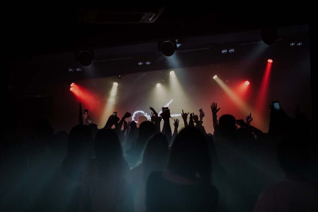 group of people at a live event concert