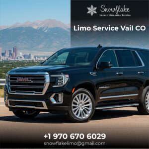 limo service Vail co-min