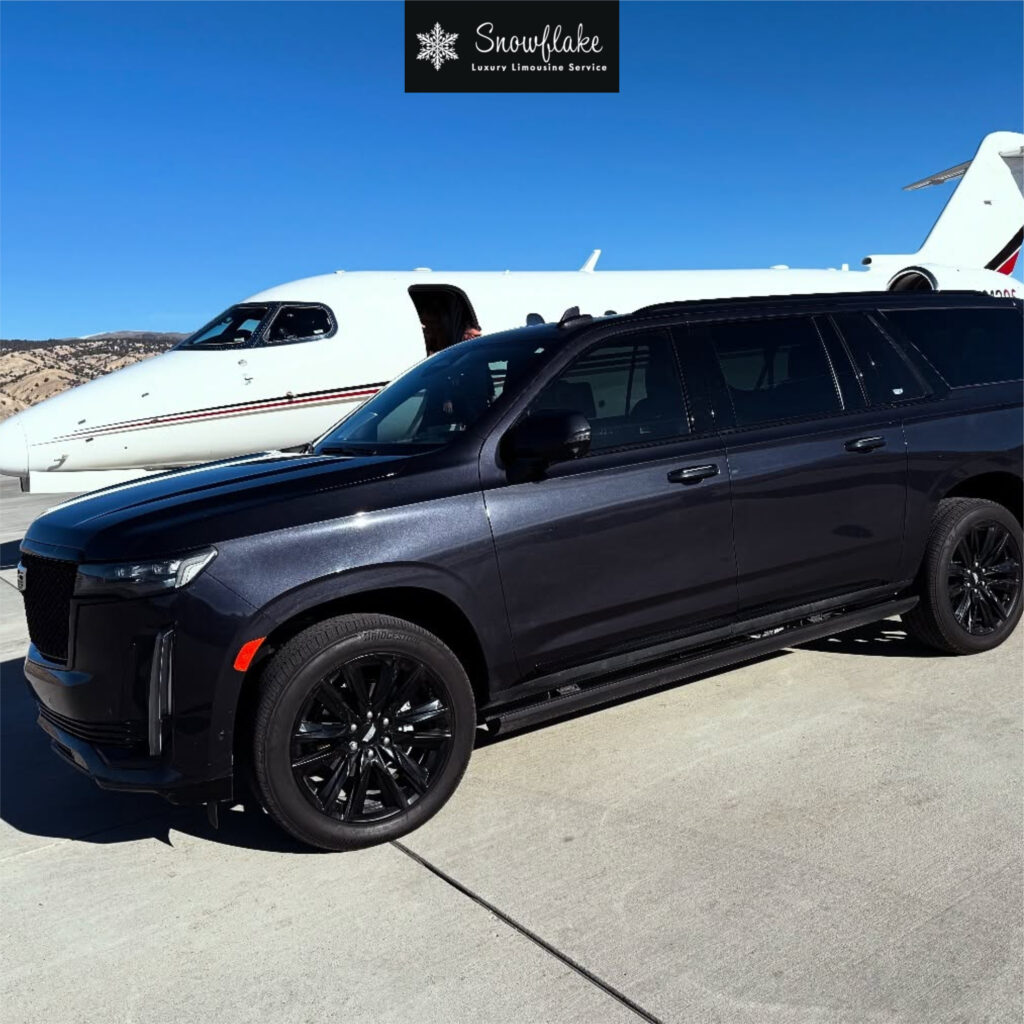 aspen transportation